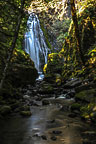 Susan Creek Falls