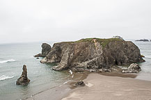 Along the Shoreline