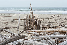 A Driftwood Shack