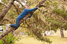 Max in a Tree