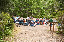 The Amphitheater