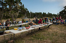 The Pot Luck