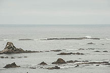 Cape Arago State Park