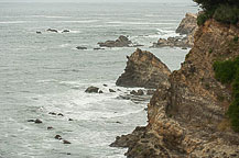 Cape Arago State Park