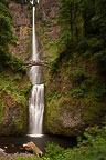 Multnomah Falls