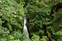 Shepperd's Dell Falls