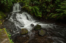 Shepperd's Dell Falls