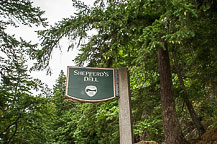 Shepperd's Dell Falls