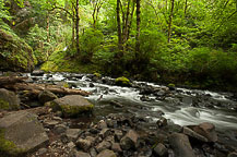 Bridal Veil Falls