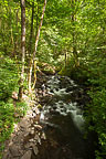 Bridal Veil Falls