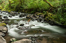 Bridal Veil Falls