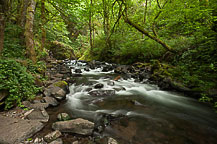 Bridal Veil Falls