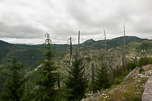 Along the Way to the Top