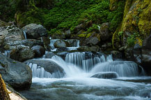 Mt Rainier