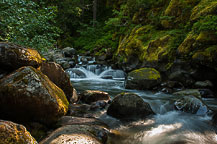 Mt Rainier