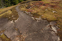 Mt Rainier