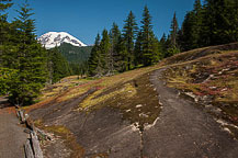 Mt Rainier