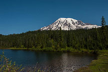 Mt Rainier