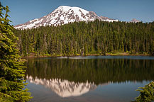 Mt Rainier