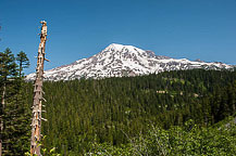 Mt Rainier