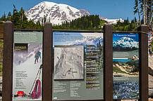 Mt Rainier