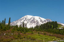 Mt Rainier