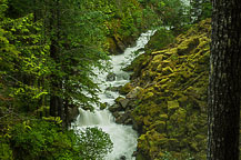 Stream Below Nooksack Falls