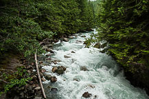 Stream Above Nooksack Falls