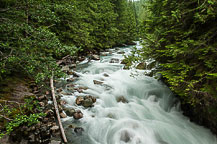 Stream Above Nooksack Falls