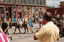 The Burros Arrive