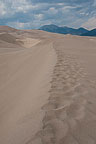 Great Sand Dunes National Park