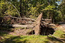 Storm Damage