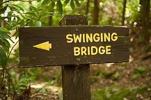 Swinging Bridge