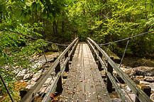 Swinging Bridge