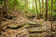 Skyline Trail