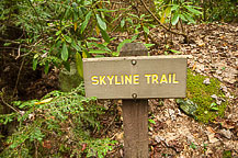 Skyline Trail