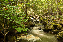 Ricketts Glen State Park, PA