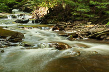 Ricketts Glen State Park, PA