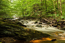 Ricketts Glen State Park, PA