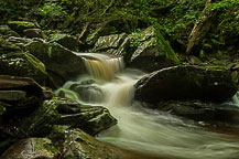 Ricketts Glen State Park, PA