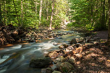 Ricketts Glen State Park, PA