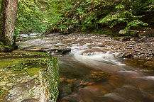 Ricketts Glen State Park, PA