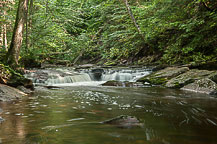 Ricketts Glen State Park, PA