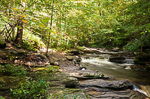 Ricketts Glen State Park, PA