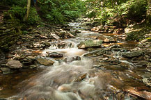 Ricketts Glen State Park, PA