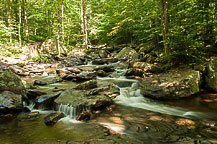 Ricketts Glen State Park, PA