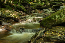 Ricketts Glen State Park, PA