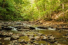 Grimes Glen