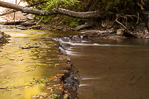 Grimes Glen