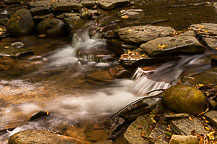 Grimes Glen